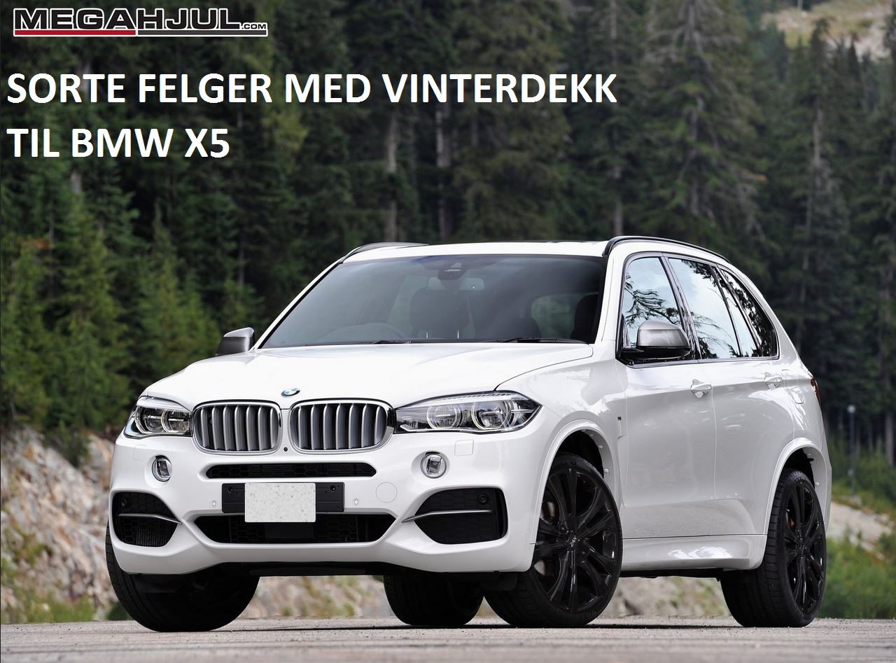 sorte-felger-med-vinterdekk-til-bmw-x5